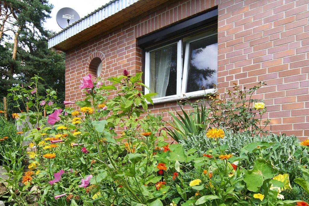 Ferienhaus, Feldberger Seenlandschaft Villa Exterior foto